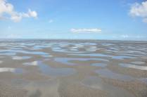 Terrenos alagado na maré baixa, próximo a Guriú - CE